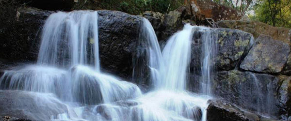 Maredumilli Tour Packages